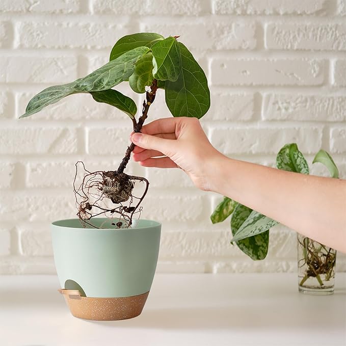 Indoor Plant Pots With Drainage Holes and Saucers Planting Pots for All HousePlants Green Plastic Flower Pots with Drainage Hole Self Watering Plant Pot Gift Idea For Home Decor Succulent Pots