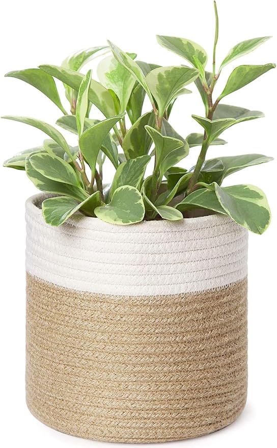 Dahey Small Cotton Rope Plant Basket Woven Plant Coiled Basket for Up to 7" Planter, Decorative Flower Pot Cover Closet Storage Bin Table Desk Organizer for Home Decor, White and Beige