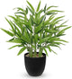 Artificial Bamboo Tree Plant 18 inch Tall Potted Fake Plant-Faux Tree in Black Pot for Farmhouse Home, Office, Kitchen, Counter Top, Indoor Decor, Money Tree, Lucky Plant