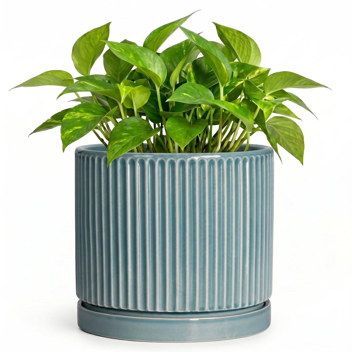 Wliror 6 Inch Flower Pots, Ceramic Pots for Plants with Tray, Glaze Blue