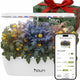 Nouri 12 pod APP Smart Garden for Home Cooks | Heirloom Tomato | Hydroponics Growing System | LED Grow Lights | Indoor Herb Garden Kit | Herb Growing Kit Indoors for Plant Lovers, Gardeners, Kitchen