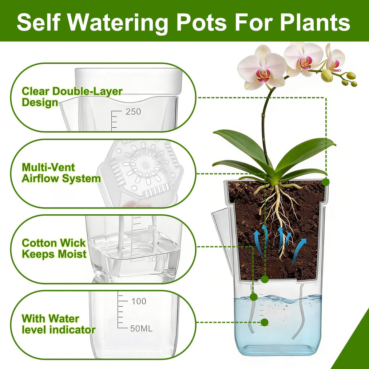 HITOSTAR 12 Pack 2.5 Inch Mini Clear Self Watering Pots for Indoor Plants, Small Plastic Planters with Drainage, Hydroponic Nursery Propagation Cups, for African Violet Alocasia Pot (2.5Inch, 12Pack)