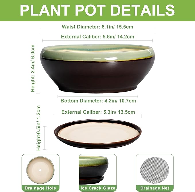 SQOWL Succulent Pots 6 Inch - Shallow Ceramic Planter, Bonsai Pot with Drainage Hole and Saucer, Round Ceramic Succulent Planter for Indoor Outdoor Plant, Kitchen Decor, Plant Lover Gift, Green-Brown
