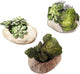 MY SWANKY HOME Rustic Natural Stone Planters Set of 3 Rustic Volcanic Rock Free Form Modern