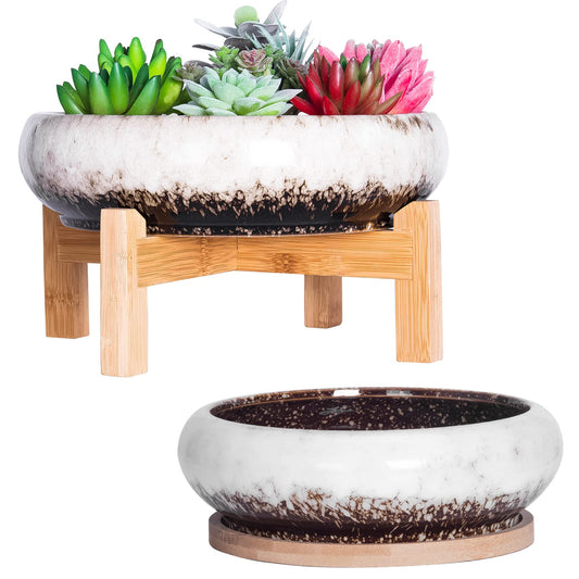 Succulent Pots, 7.3/10 Inch Large Bonsai Pots with Trays Set of 2