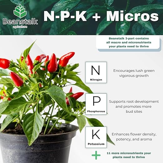 Beanstalk Agriculture Absolute Flower 11-3-17 – Controlled-Release Bloom Fertilizer for Bigger Stickier Buds Ideal for Indoor Outdoor Hydroponic & Soil Grows High-Performance Flowering Nutrients– 1 lb