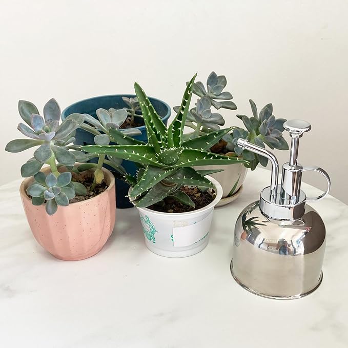 Stainless Steel Plant Sprayer, Small Watering Can for Indoor Potted Plants