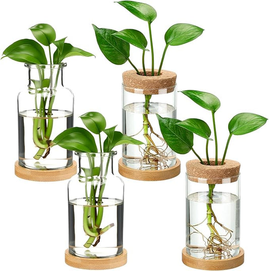 Layhit 4 Pcs Plants Propagation Stations vases Glass Planters with Wooden Lid and Bamboo Stand for Hydroponic Plants Gardening Gifts for Women Mom Home Office Tabletop Decoration(Wide Mouth Style)