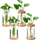 Layhit 4 Pcs Plants Propagation Stations vases Glass Planters with Wooden Lid and Bamboo Stand for Hydroponic Plants Gardening Gifts for Women Mom Home Office Tabletop Decoration(Wide Mouth Style)