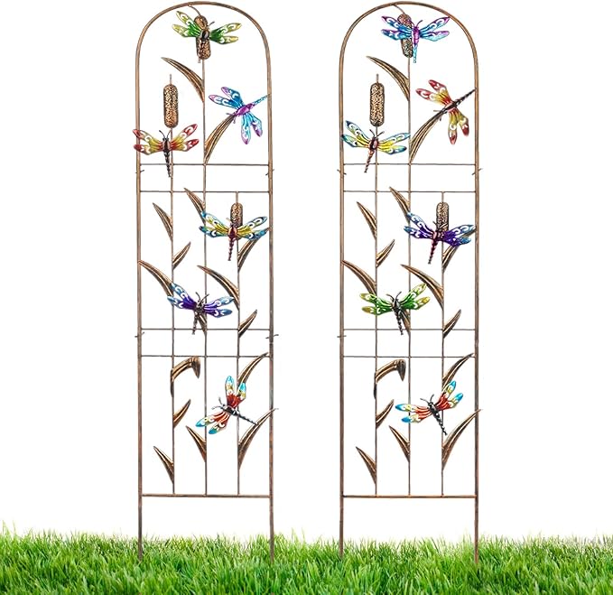 LEWIS&WAYNE 2 Pack Metal Garden Trellis with Colorful Dragonfly 60 Inch High Outdoor Decoration Arched Fence Trellis for Climbing Plants for Patio, Lawn, Yard, Backyard, Wall Brackets