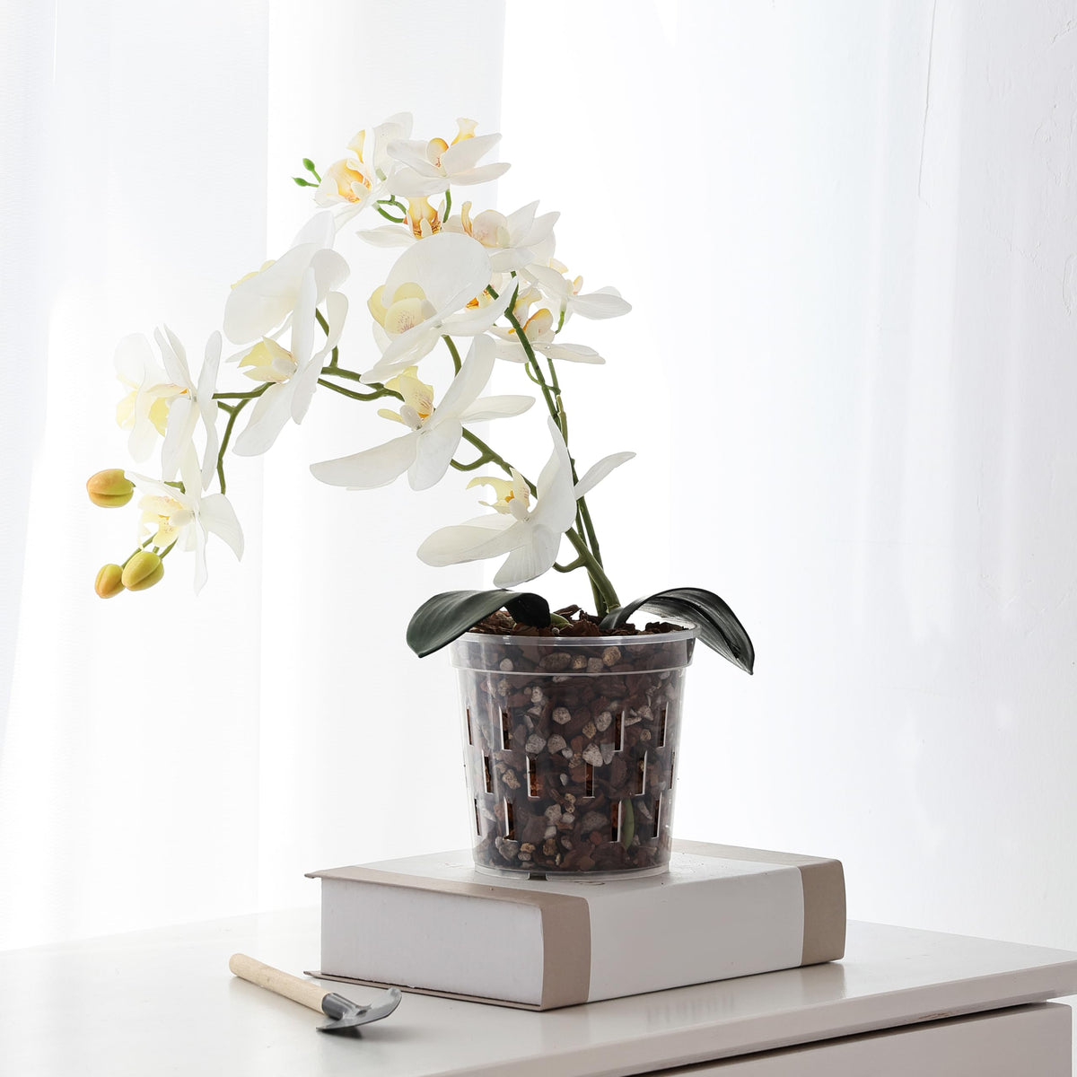 TRUEDAYS Orchid Pot, 4 Pack 6 Inch Plant Pot with Drainage