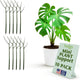 Twigs GA - Mini Twigs Plant Support Stakes for Small Plants, Indoor & Outdoor Use, Gardening Supplies, Garden Accessories, Trellis & Ring Alternative - Monstera (Dark Green), 10 Pack, 12" L