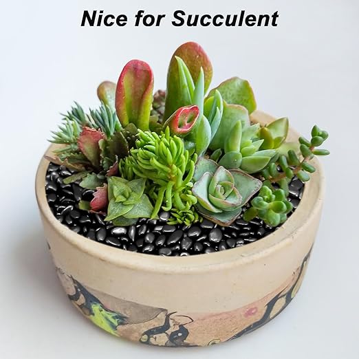Pebbles for Indoor Plants,Virekm River Rocks,Decorative Ornamental Pebbles,Garden Landscaping Stones Gravel Filler for Home Decoration Flower Bed Fish Tank Plants Vases Succulents (10 Pounds)