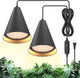 Bstrip 50W Double-Head One Cord Grow Lights for Indoor Plants full Spectrum 3000K, Black LED Grow Light Bulb with Timer & 16.4FT Power Cord, Perfect for Tall Plants, Flowers, and Greenhouses in Winter