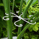 5PCS Monstera Plant Support Hook - 5.5x5.5 inch Premium Indoor Stem Stabilizer for Monstera & Fishbone Cactus, Durable,Easy Installation, Gentle Protection for Healthy Plant Growth