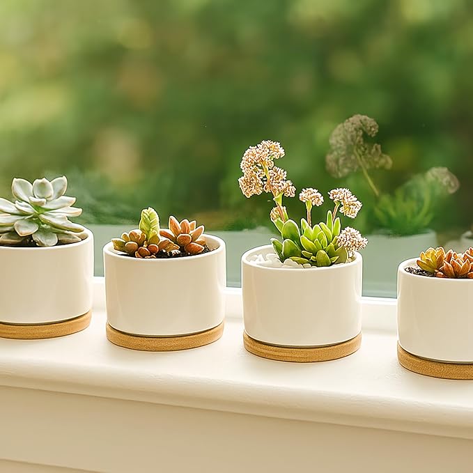 ZOUTOG Ceramic Succulent Pots,4 Inch Plant Pots,Succulent Planters with Drainage Hole & Bamboo Tray for Indoor Plants,White Small Flower Planters for Home,Office,Desk(6 Pack)