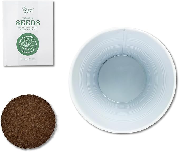 BUZZY Seeds Coleus Indoor Plant Grow Kit, White Metal Garden Pail with Planting Seeds and Growing Medium, Starter Set for Houseplants, Indoor Gardening Gift, Housewarming Present