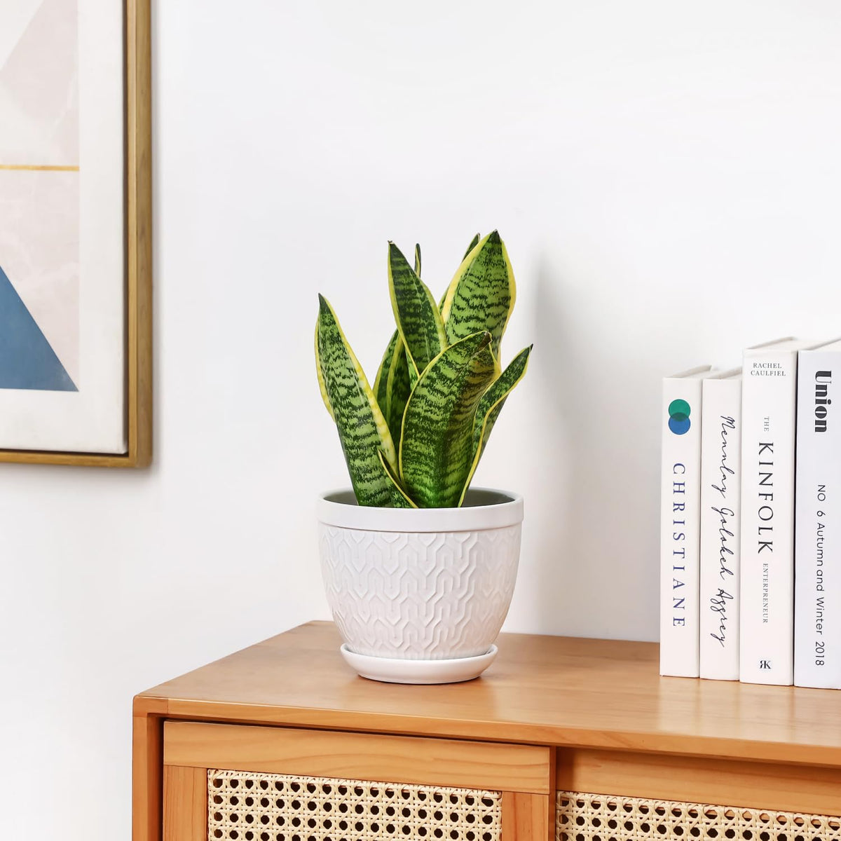 Sureasy HOME & KITCHEN 6.5 Inch Ceramic Plant Pots Set of 2, White Embossed