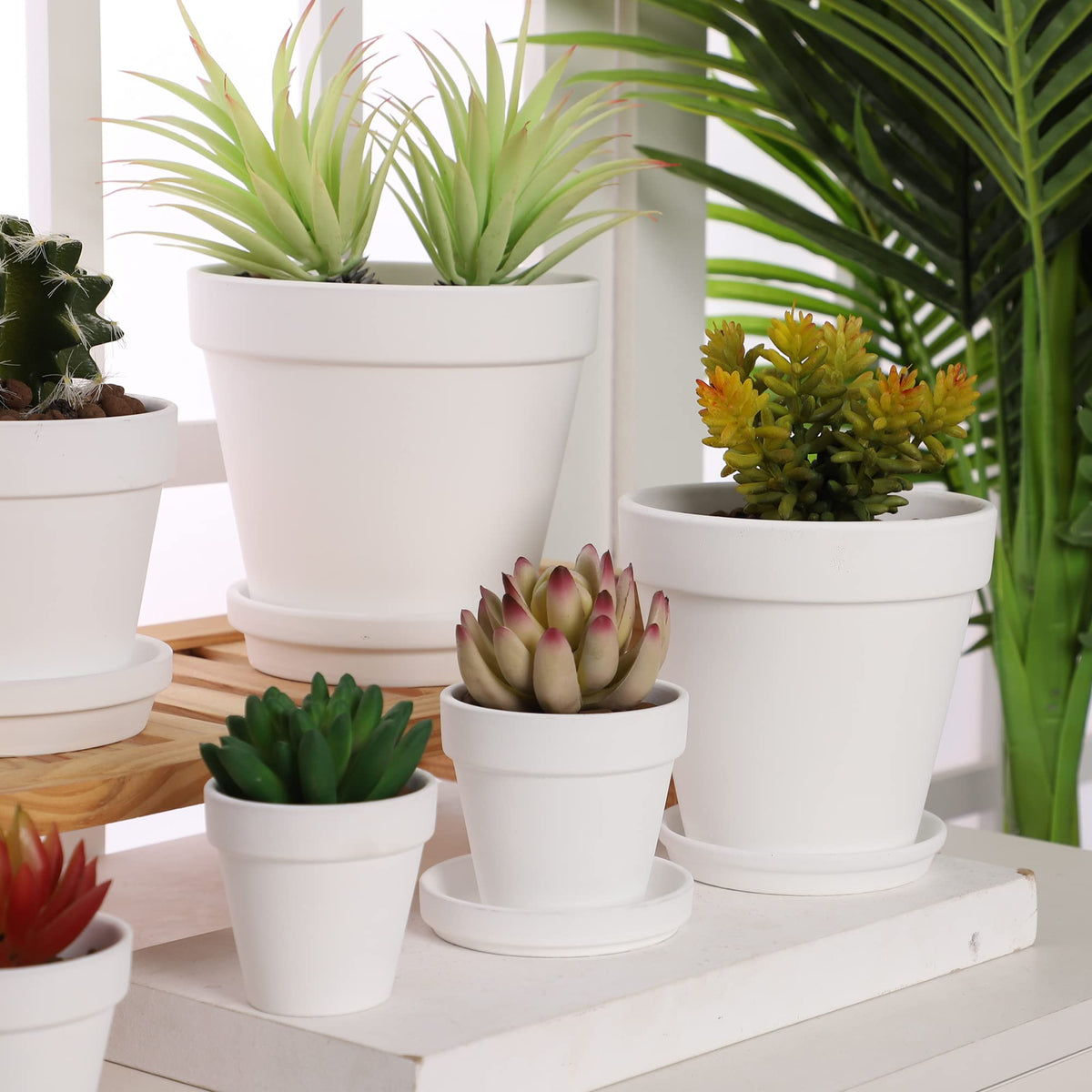 Yishang Large Terra Cotta Pots with Saucer- 6 Pack Large 6'' Terra Cotta Plant Pot with Drainage Hole, Flower Pot with Tray, Terracotta Pot for Indoor Outdoor Plant(White)