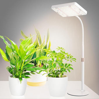 JINHONGTO Tabletop Grow Light LED Full Spectrum UV IR, Veg Seed Starting Seedlings Bonsai Houseplant Plant Light, Desk Grow Lights for Indoor Plants, 16"-24" Height Adjustable