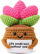 WEZADUK Positive Emotional Support Crochet Plants, Funny Succulent Gifts for Women Men Plant Lovers, Birthday Gift Ideas, Mini Handmade Crochet Succulent Decor