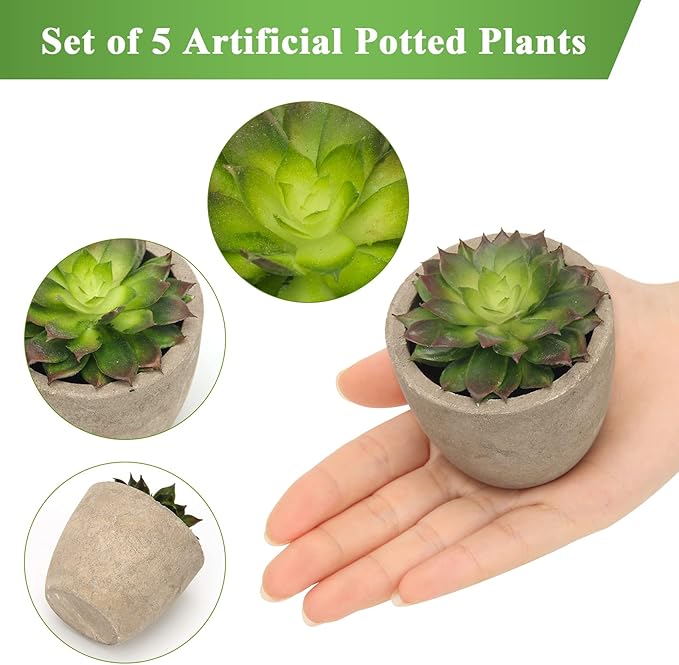 Coitak Artificial Succulent Plants Potted, Assorted Decorative Faux Succulent Potted Fake Cactus Cacti Plants with Pots, Set of 5