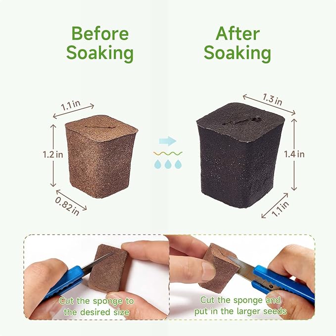 50 Packs Cuttage Grow Sponges, Pods Root Growth Sponge Eco Friendly PH Balance, Square Sponge Replacement Part Seedling Starter Sponges for Hydroponic Indoor Garden System Cuttage Rooting