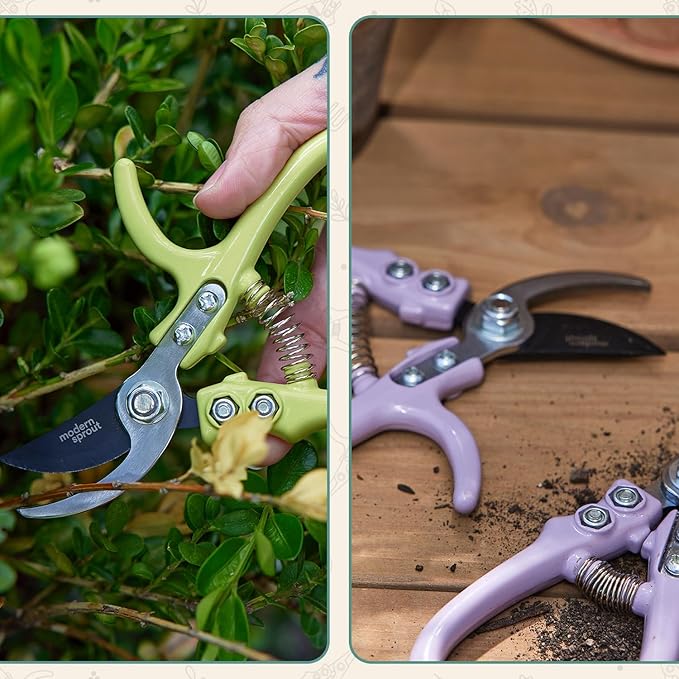 Modern Sprout Hand Pruners - Lightweight Pruning Shears W/Easy Lock- Gardening Scissors - Bypass Sharp Carbon Steel Blade - Rust Resistant - Garden Tools - Reusable Holster - Ocean