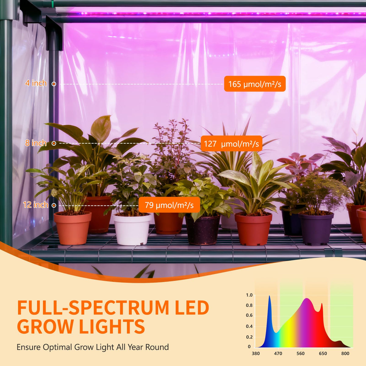 DoCred Indoor Greenhouse with Grow Lights, 4-Tier Mini Greenhouse PVC Cover