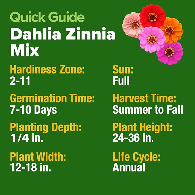 HOME GROWN USA Premium Zinnia Dahlia Seeds Pack for 2026,1048 Non-GMO Flower Seeds, Vibrant Zinnia Elegans for Planting Pollinator Gardens, Borders & Containers, Easy-to-Grow Outdoor Blooms