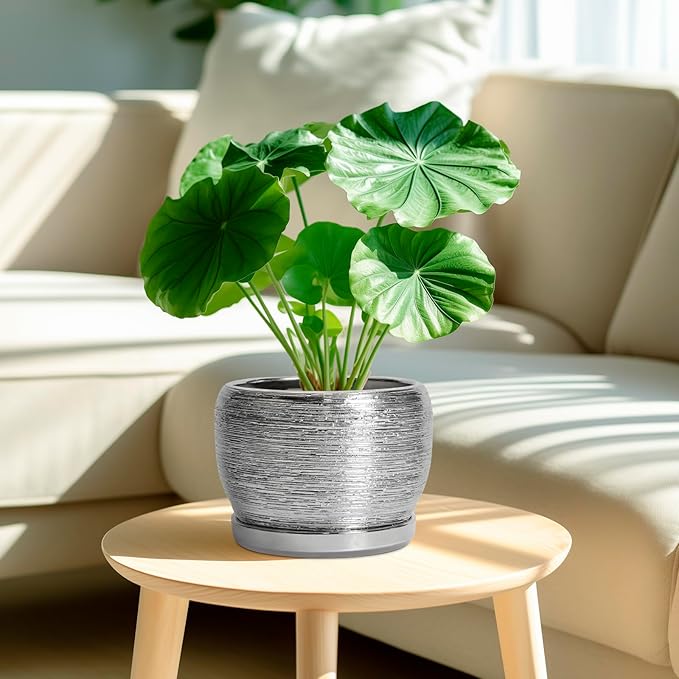 SQOWL Ceramic Pot for Plants - 8 Inch Planter with Drainage Hole and Saucer, Round Planter Indoor Outdoor, Modern Decorative Flower Pot, House Decor, Gifts for Plant Lovers, Silver