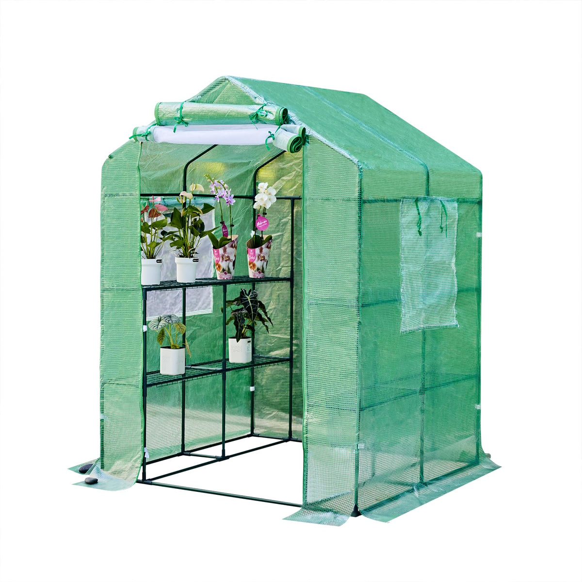 Solayis 56x55x74 Inch Greenhouse for Outdoors,3 Tier 8 Shelves Green