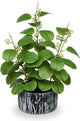 GnFlus Artificial Plants Decor Greenery Fake Ficus Leaf Indoor Potted 14" Fake Plant with Seeds in Rustic Black Ceramic Planter for Farmhouse Room Bathroom Bedroom Kitchen Office Table Desk Decor
