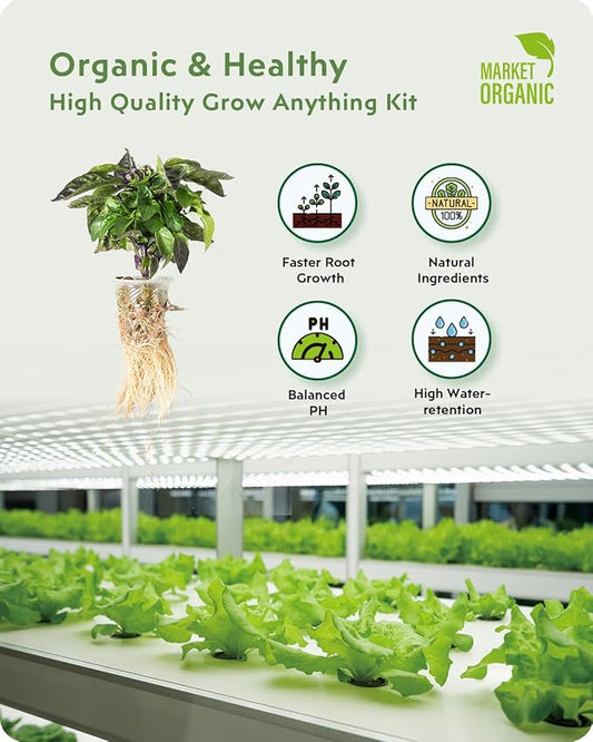 140Pcs Hydroponic Pods Supplies: Compatible with AeroGarden Grow Anything Herb Kits - Includes Grow Sponges Grow Baskets Grow Domes Labels - Hydroponics Supplies for Most Brand