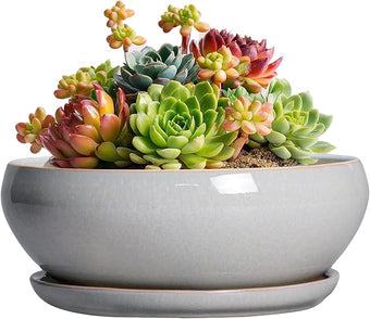 SQOWL Succulent Planters 6 Inch - Ceramic Bonsai Pots with Drainage Hole and Saucer, Shallow Planter for Indoor Plants Outdoor, Round Ceramic Pots for Plants Cactus, Room Decor, Garden Gifts, Gray