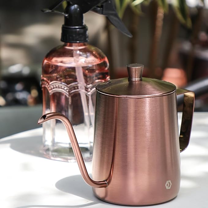Watering Can for Indoor Plants Long Spout Metal Stainless Steel 21 oz/600 ml Small Watering Can with 14 oz/400ml Glass Plant Mister Spray Bottle for Plants Bonsai