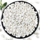 YISZM 10LB Succulent and Cactus Gravel Pebbles, 3/8 Inch Natural Decorative Polished Stones, River Rocks for Plants, Vases, Aquariums, Terrarium and Outdoor Gardening, White