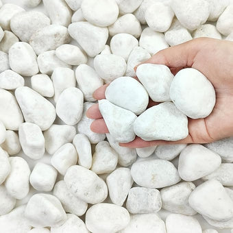 FANTIAN 20 lbs White Stones for Landscaping, 1-2 Inch Pebbles Decorative River Rocks for Plants Indoor, Vases, Aquariums Gravel, Crafting and Garden