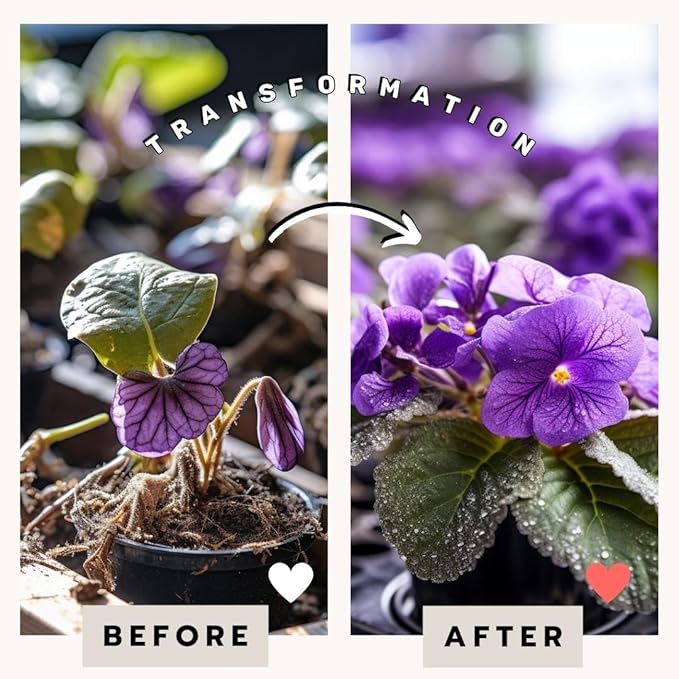 EarthPods® Organic African Violet Fertilizer Spikes – 100 African Violet Food Capsules - Made in USA