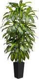 6FT Artificial Dracaena Tree Indoor Fake Tree Tall Plant with Black Planter Faux Plants Indoor Living Room Artificial Plants Indoor Decor Large Fake Plant