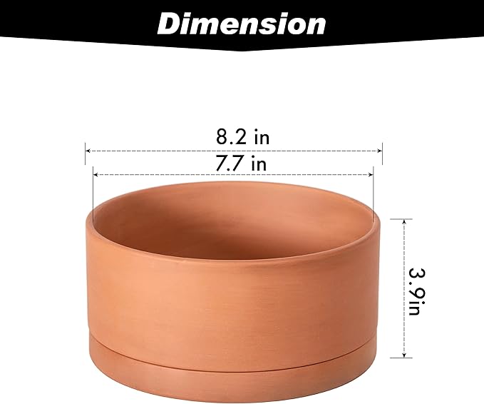 D'vine Dev 8 Inch Succulent Terracotta Shallow Pot with Drainage Hole and Saucer, Round Cylinder Planter Pot for Plant Flower, 40-Y-A-0