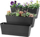 Window Box Planter with Tray, 12" Rectangle Plant Pot, Pack of 3 (Black)