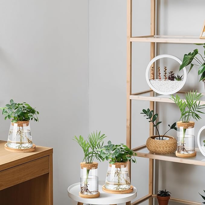 Layhit 4 Pcs Plants Propagation Stations vases Glass Planters with Wooden Lid and Bamboo Stand for Hydroponic Plants Gardening Gifts for Women Mom Home Office Tabletop Decoration(Stylish Style)