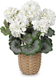 Briful Artificial White Geranium Flowers in Woven Basket, 14.5’’ Tall Silk Flower Arrangement, Realistic Geraniums Artificial Outdoor Plants for Home Indoor Farmhouse Table Wedding Centerpiece Decor