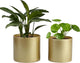 Vixdonos Metal Flower Pots Garden Planters Indoor Round Succulent Containers, Pack 2 Cactus Plant Pots with Drainage Hole (5.9inch+6.7inch, Gold)
