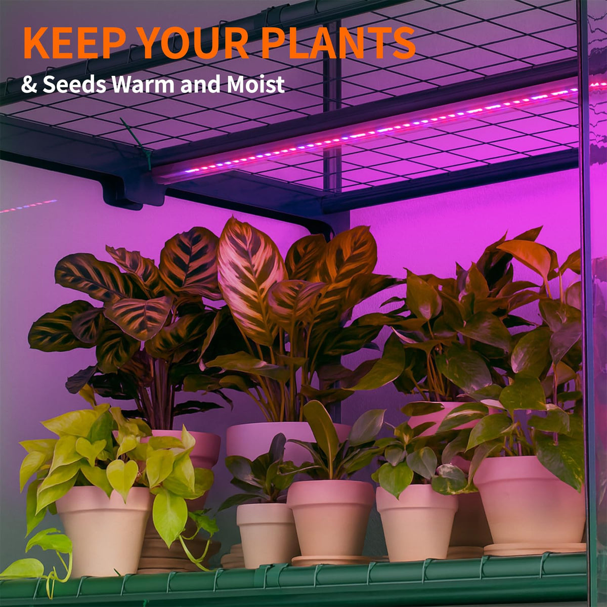 DoCred Indoor Greenhouse with Grow Lights, 4-Tier Mini Greenhouse PVC Cover