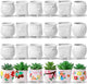 Leitee 18 Pcs Paint Your Own Ceramic Pot Bulk Fall Succulent Pots Ready to Paint Small Pot Mini Succulent Planters Pottery Painting for Spring Valentine Easter Craft(Lovely Flowers)