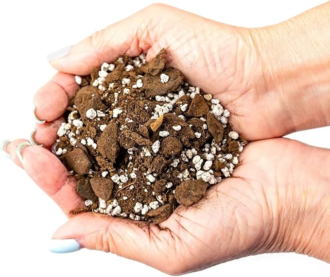 GARDENERA Palm Tree Potting Mix - The Ultimate Soil for Strong and Healthy Palms - Top Choice for Palm Tree Growers [1 Quart Bag]