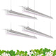 Barrina T8 LED Grow Light 4FT,168W(4 x 42W), 1000W Equivalent, Full Spectrum, V-Shape with Reflector Combo, Grow Lights for Indoor Plants, Greenhouse, 4-Pack