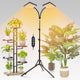 2-Head Grow Light with Stand 50W, FECiDA 2025 Grow Lights for Indoor Plants, Full Spectrum LED Plant Grow Light for Houseplants, Bonsai Tree, 4,8,12,16 Hr Timer and 360° Gooseneck